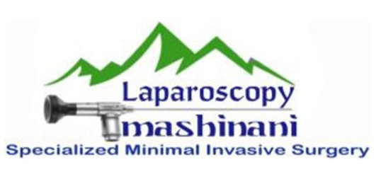 lapmash